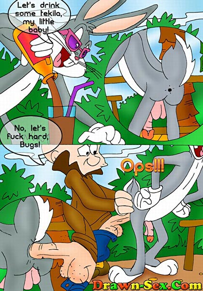 Tweety Bird: Looney Tunes nasty comics pages.